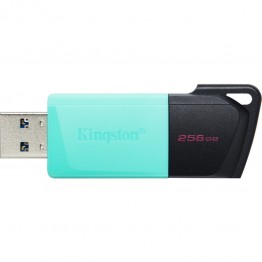 Stick memorie USB Kingston Exodia M, 256 GB, USB 3.2